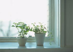 東京でブランド家具の買取りなら