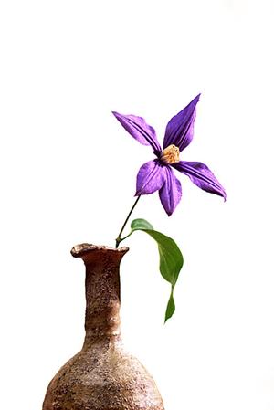 ペルシャ絨毯を安心して購入できる会社