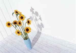 和風椅子を使う飲食店を始めるなら