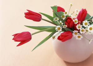 窓リフォームのポイント！明確な価格情報とインプラスの魅力を徹底解説