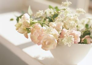 ふじみ野など埼玉や千葉・東京の一戸建て